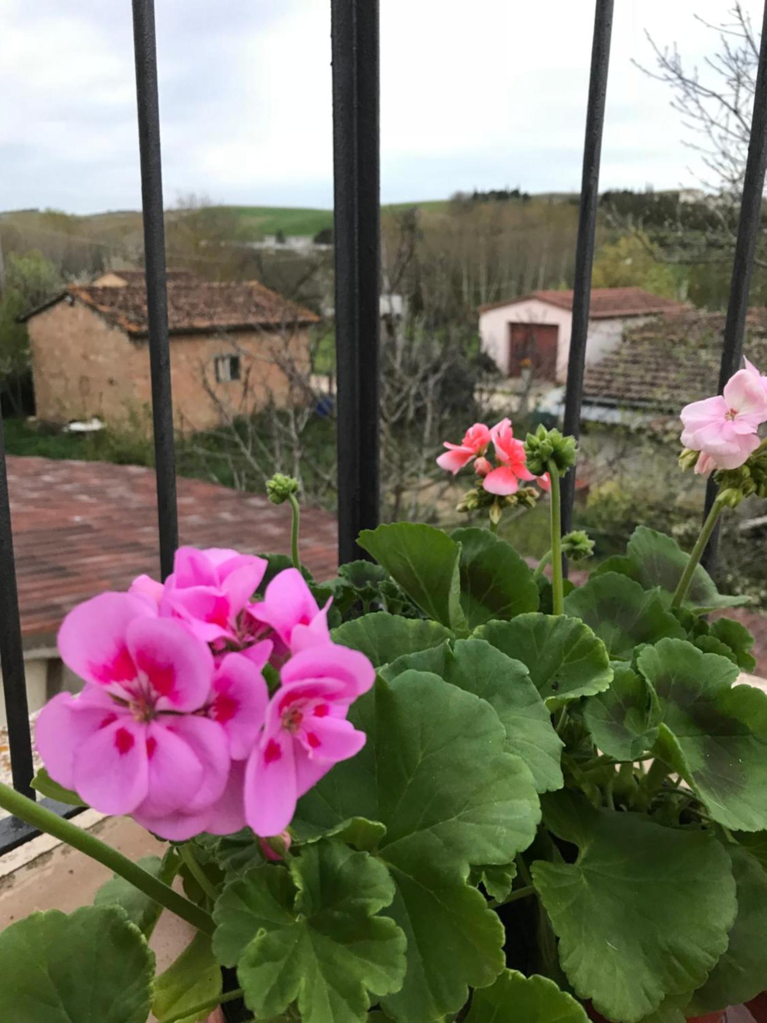 Il Giuggiolo Appartement Montalcino Buitenkant foto
