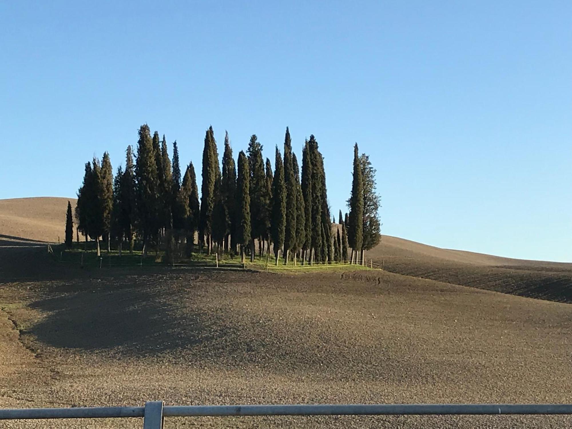 Il Giuggiolo Appartement Montalcino Buitenkant foto