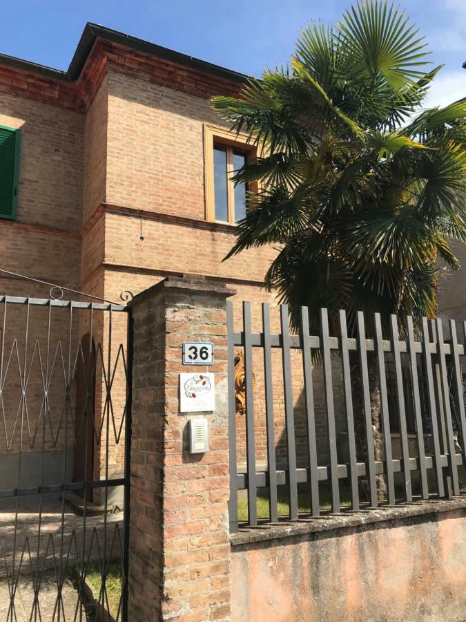 Il Giuggiolo Appartement Montalcino Buitenkant foto