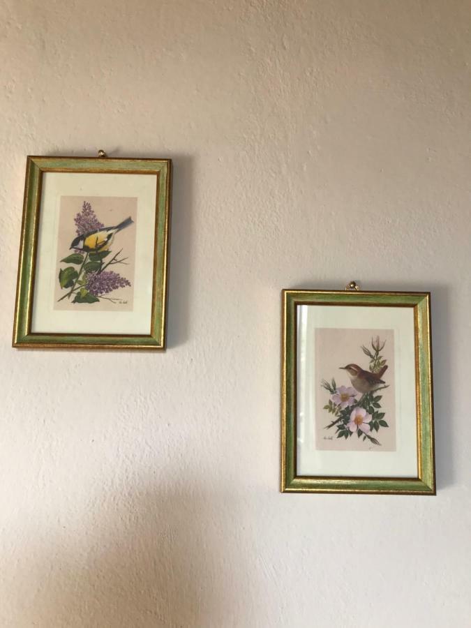 Il Giuggiolo Appartement Montalcino Buitenkant foto
